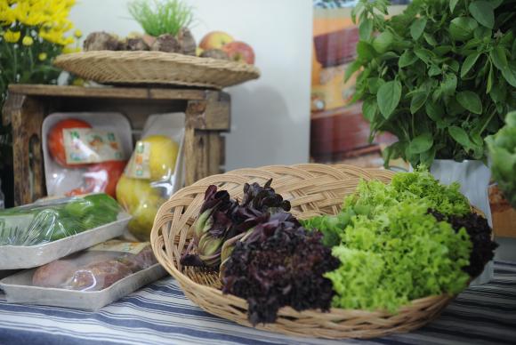 Saúde lança guia alimentar para conter obesidade e doenças crônicas no país