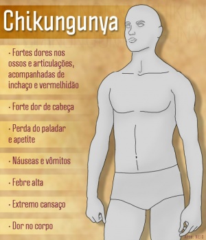 CCZ registra 3 notificações de chikungunya em Dourados e mobiliza população para combater focos